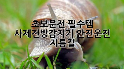 초보운전 필수템🚨 사제전방감지기: 안전운전 지름길!