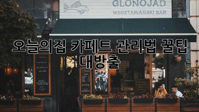 오늘의집 카페트 관리법: 꿀팁 대방출! ✨