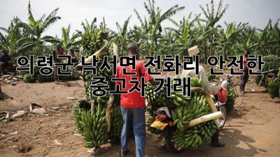 의령군 낙서면 전화리 안전한 중고차 거래